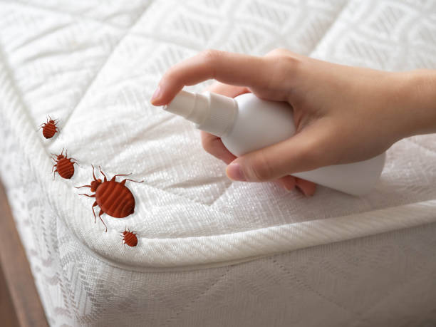 Best Pest Prevention Services  in Skokie, IL